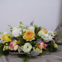 Hoa hội nghị HN-03