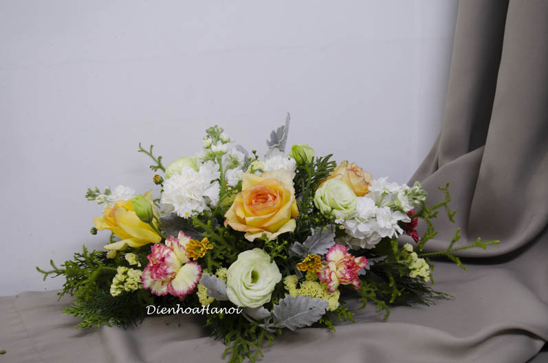 Hoa hội nghị HN-03