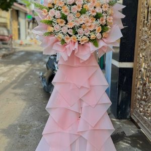 Hoa chúc mừng 09